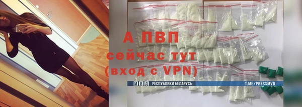 гашик Губаха