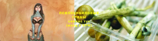 ГАЛЛЮЦИНОГЕННЫЕ ГРИБЫ Абдулино